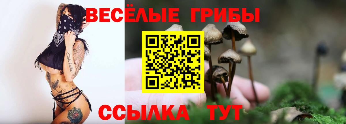 Галлюциногенные грибы мицелий  Псилоцибиновые грибы Magic Shrooms  Вход с VPN  Назарово 